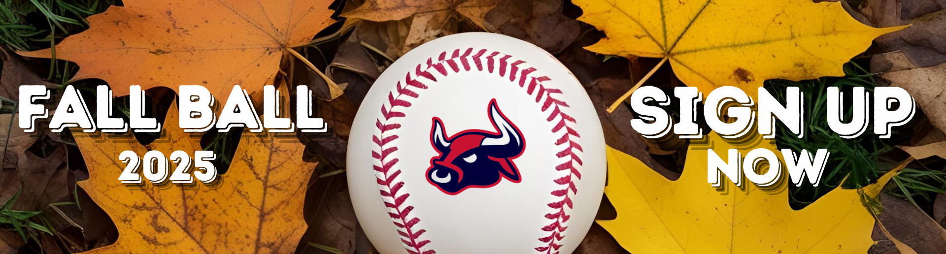 Fall Ball